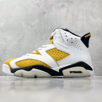 Air jordan 6